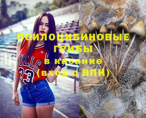 мдпв Киреевск