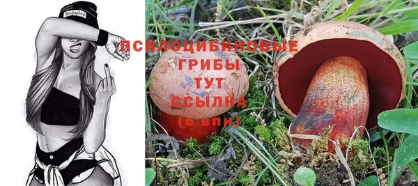 мдпв Киреевск