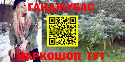 МДПВ Дубна