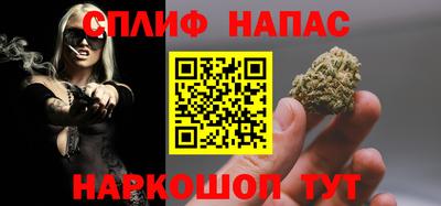 МДПВ Дубна