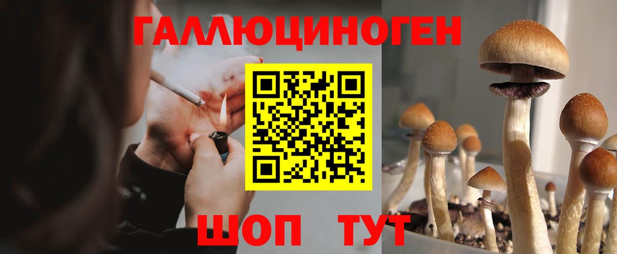 Мичуринск  Галлюциногенные грибы MAGIC MUSHROOMS  Вход с VPN 